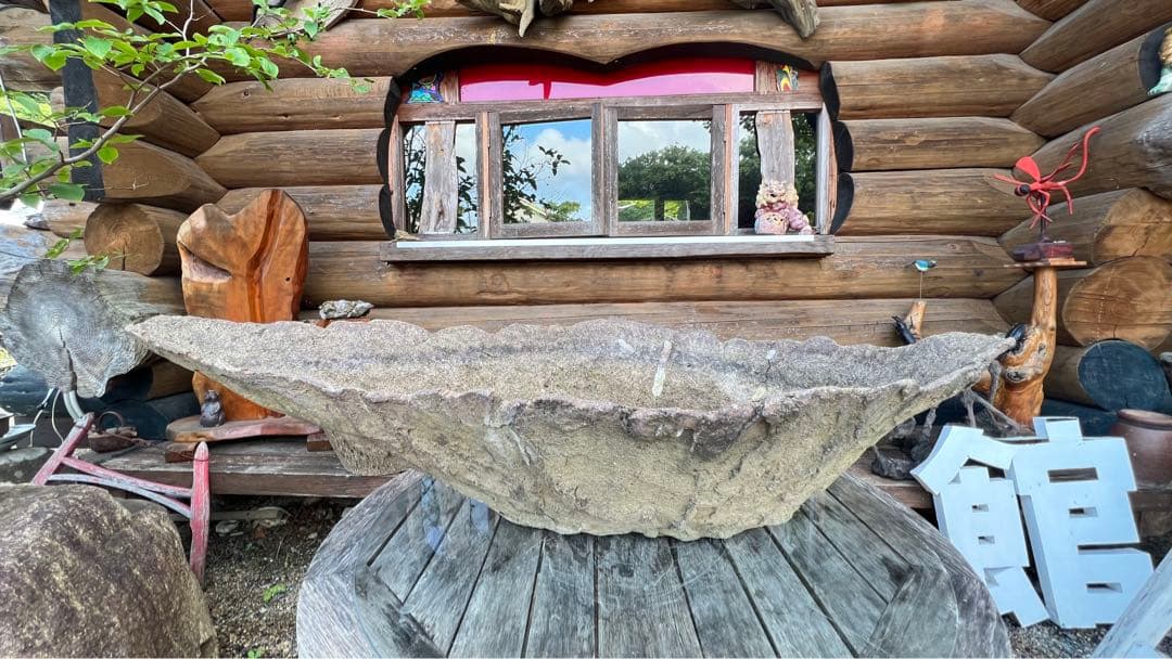 超貴重メダカ鉢