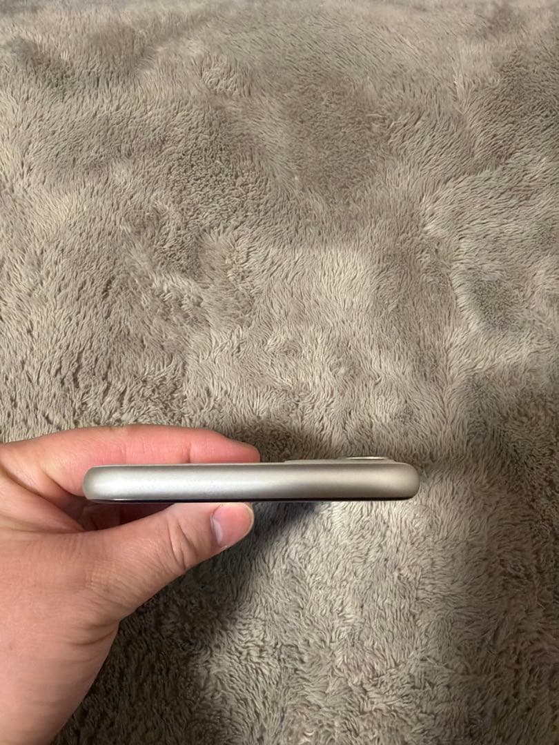 moshi  iPhone 11 ホワイト グリーン 2台本体