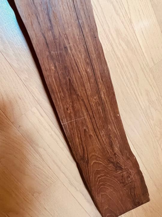 装飾用最高級流木★マングローブ系プレミアム