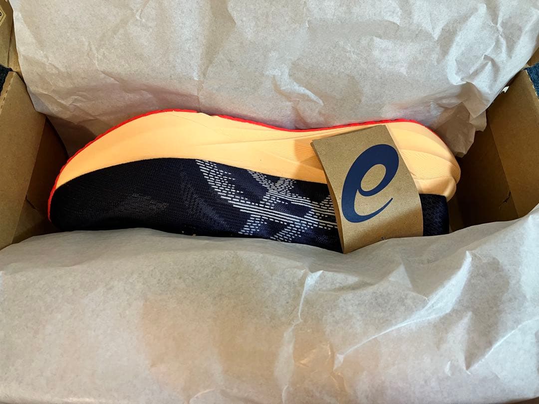 【新品未着用】ASICS NOVABLAST 5 ワイド 28.0 ランニング