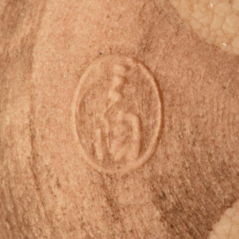 和食器　志野焼　絵志野　松文　雪輪形　菓子皿　五客　在銘　共箱　D　R7842