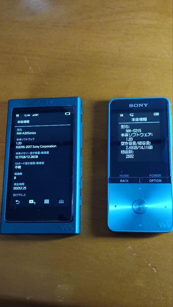 (送料無料) [要商品内容確認] ウォークマンSシリーズ 初音ミク モデル 中古