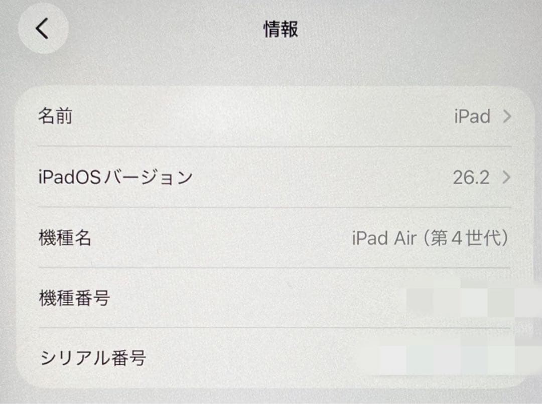 iPad Air （第4世代） 256GB SIMフリー