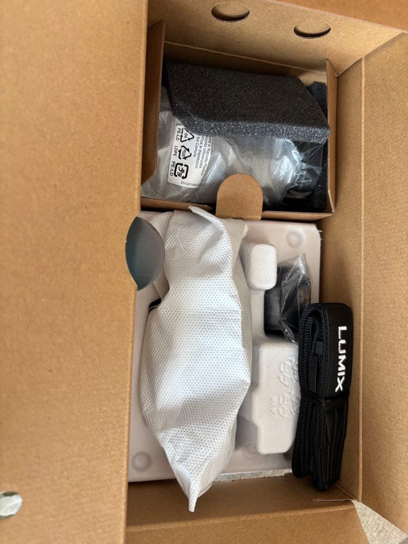 LUMIX DC-S9ミラーレスカメラ 20-60mmレンズキットセット