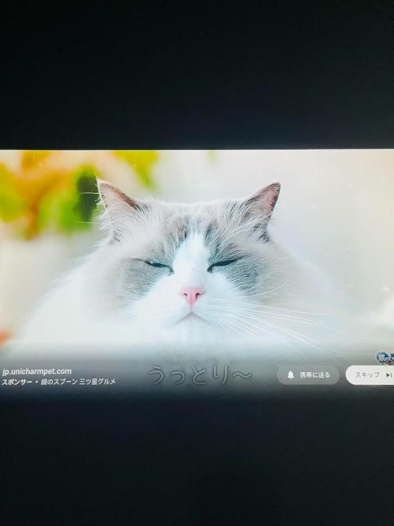 プロジェクタースマホ対応 小型【節電対策2026超小型投影機・電動フォーカス搭b