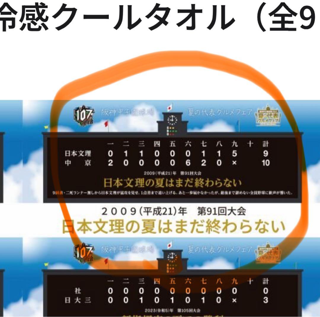 が*ん様 2025 甲子園オリジナル冷感クールタオル