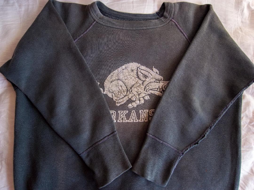 【推定60s】ヴィンテージ フロッキースウェット ARKANSAS 猪プリント