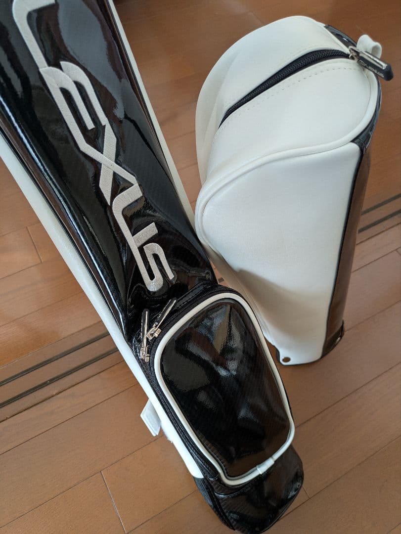 希少　新品未使用　レクサス　セルフスタンドバッグ