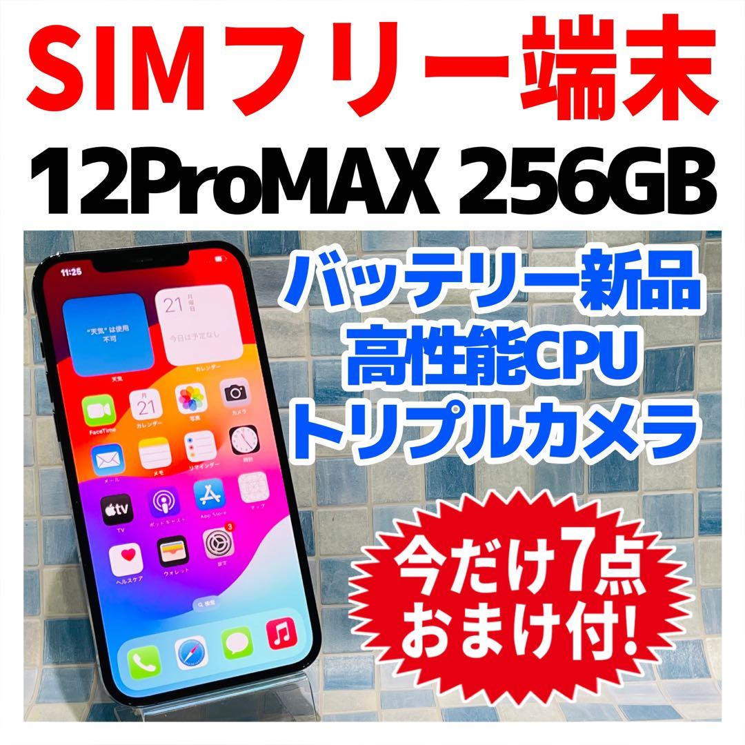 SIMフリー iPhone12ProMAX 256GB パシフィックブルー