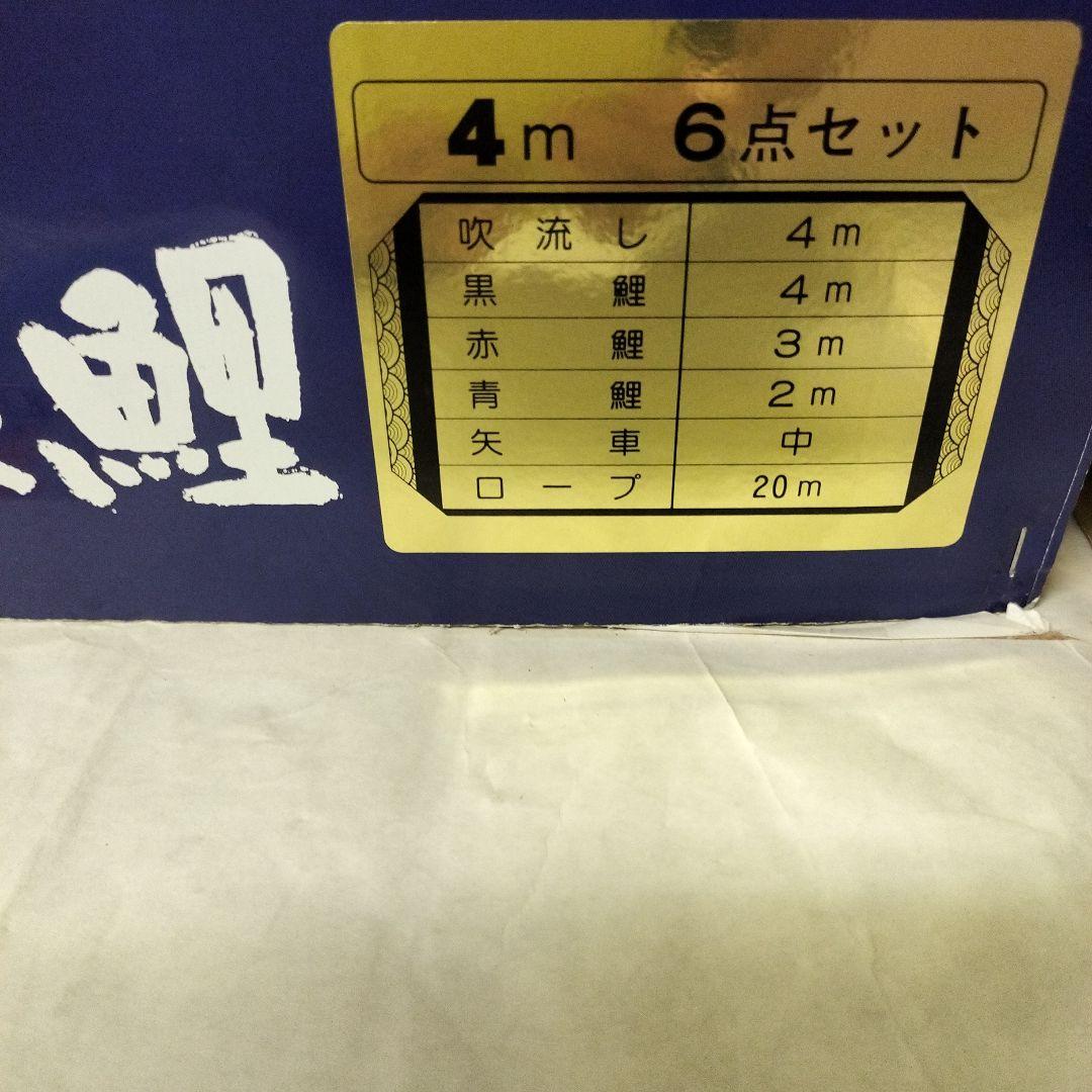 4M青海波鯉　雲龍吹き流し