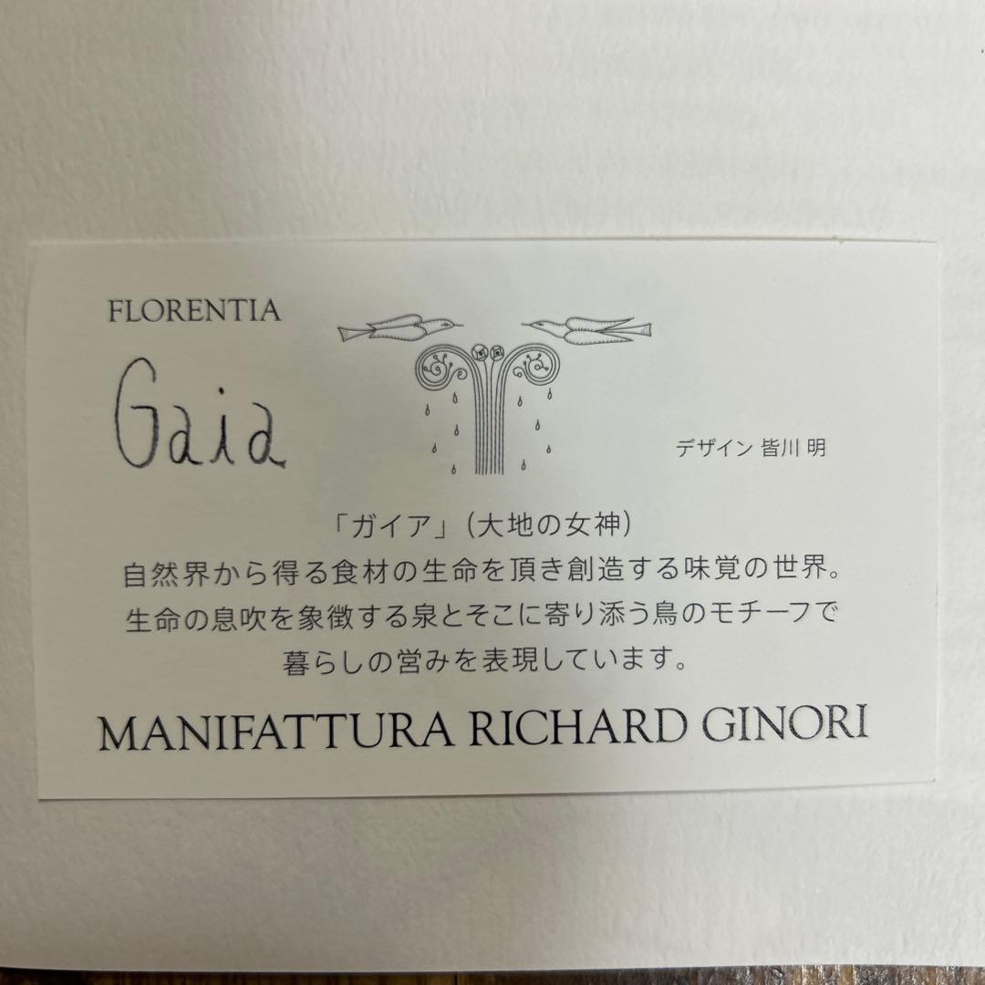 希少　レア　リチャードジノリ　ミナペルホネン　コラボプレート　皆川明 Gaia