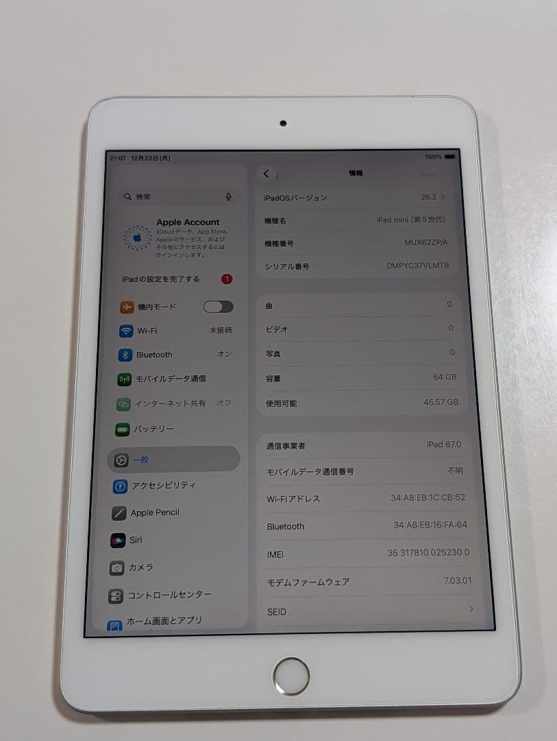 海外版SIMフリー　iPad mini5 64G シルバー