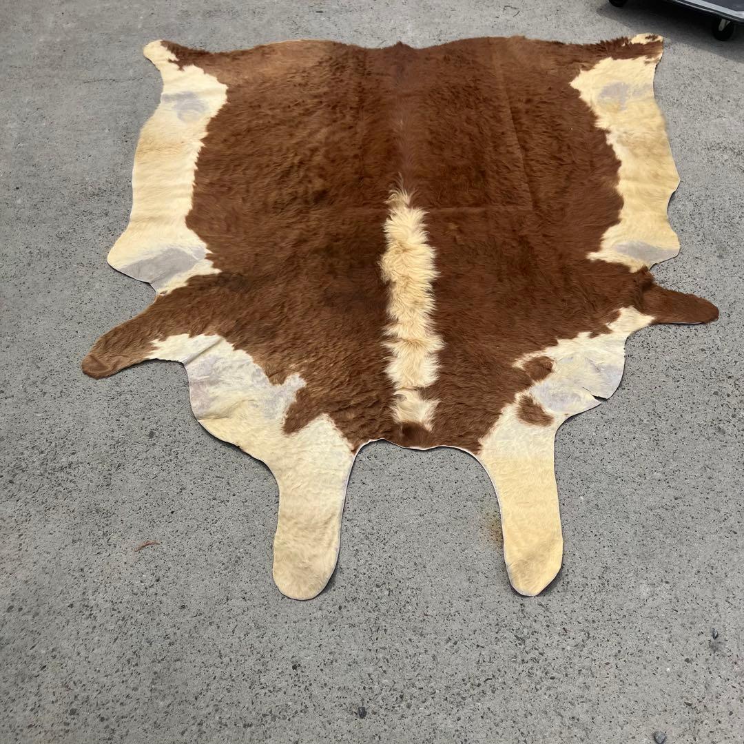 ヴィンテージ 大型 カウラグ 牛毛皮 敷物 絨毯 ラグマット アンティーク 半裁