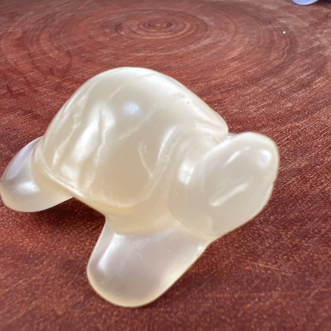 ❣️❣️❣️Aceth❤❤❤値引き不可様　シラーのかわいい亀　キャッツアイ　オレンジ