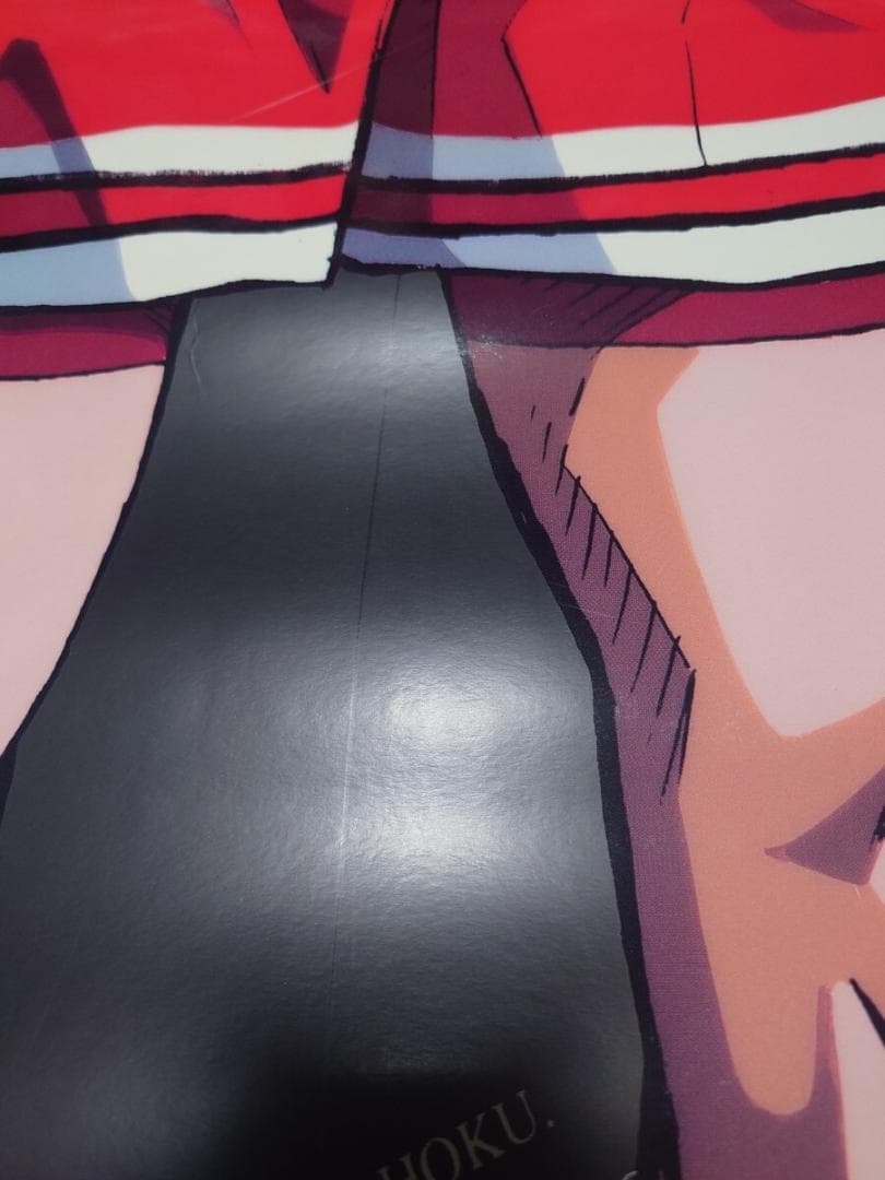 2点　スラムダンク ポスター タペストリー 桜木花道 流川楓 映画 宮城リョータ