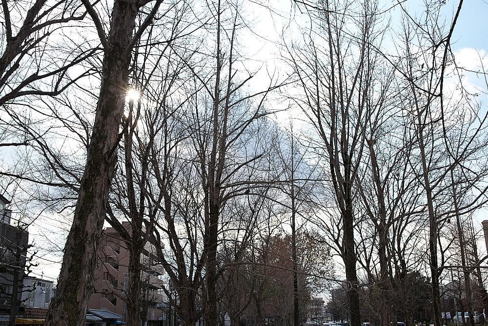 【やや難あり】TAMRON SP35mm F1.8 ニコン