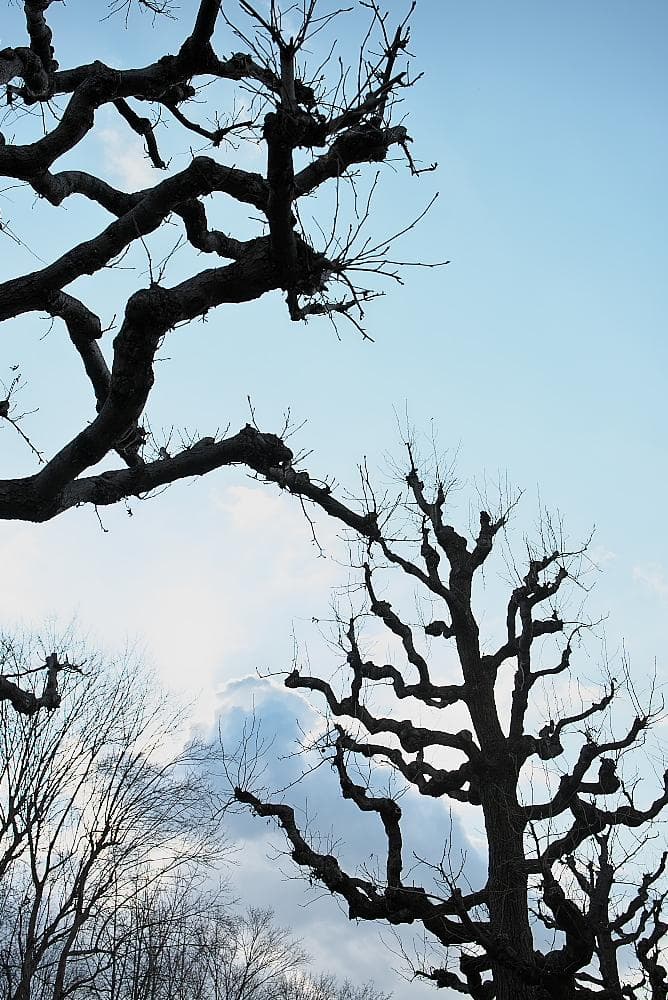 【やや難あり】TAMRON SP35mm F1.8 ニコン