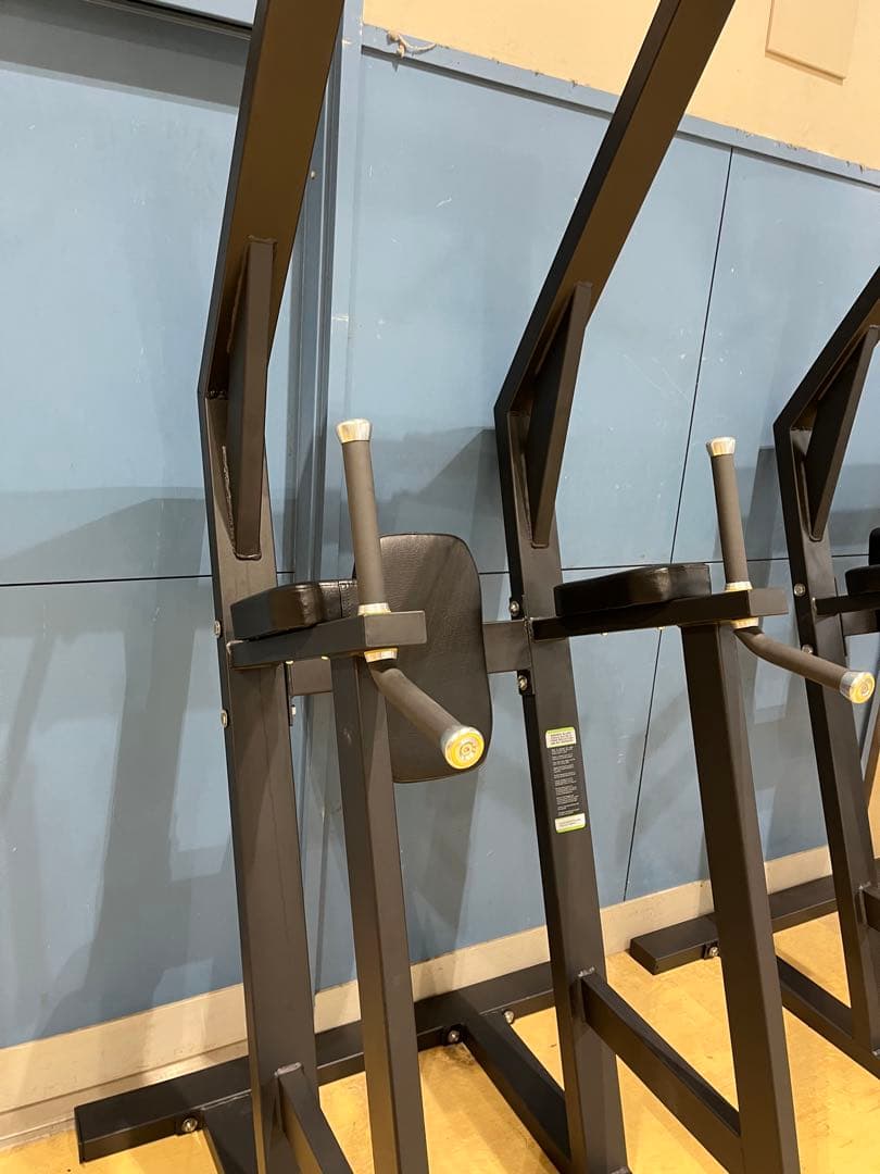 レッグレイズ、チンニング、ディップスマシーン