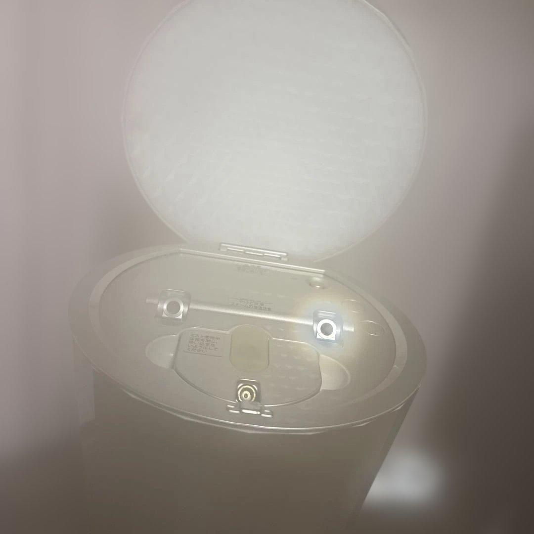 明日までお値下げ中‼️YA-MANフォトシャイン スチーマー IS-101N