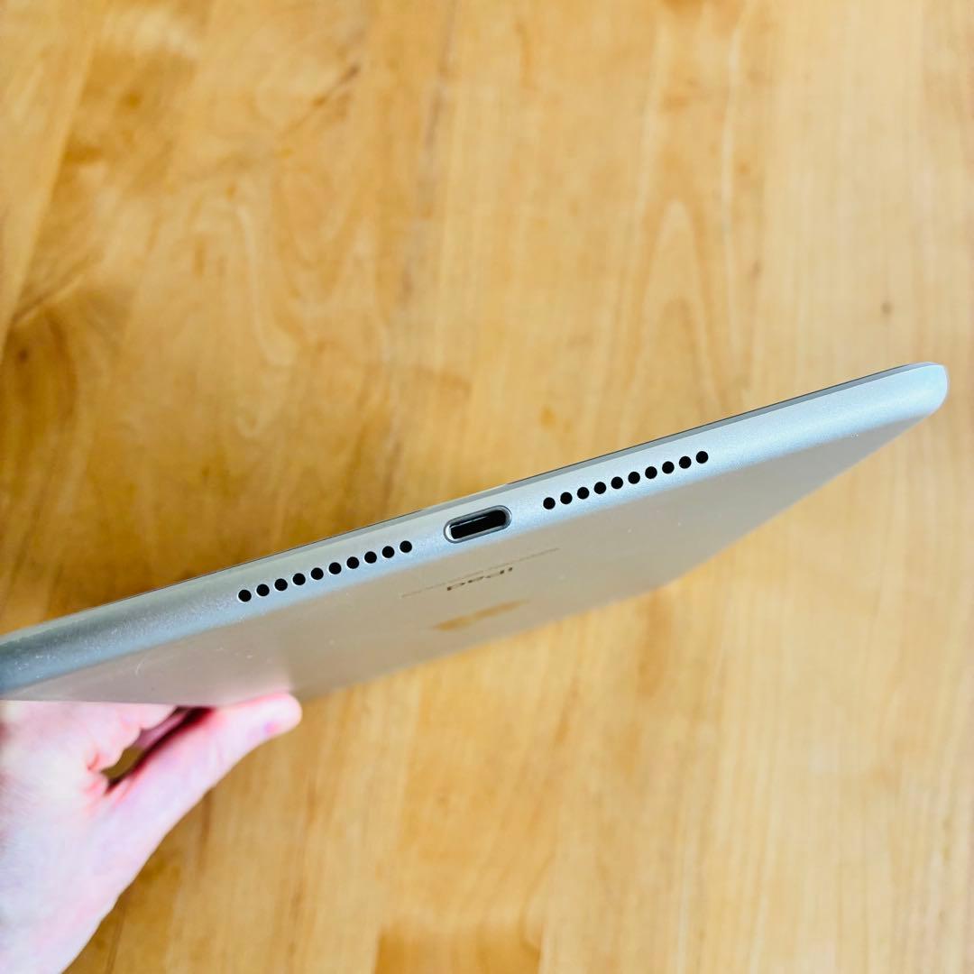 iPad mini 第5世代 シルバー 64GB セルラー 訳アリ