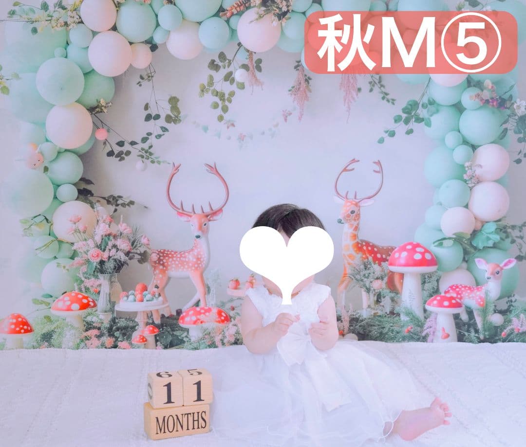 背景布+秋色チョーカー　パンパスグラス　お月見　十五夜　ペットサロン撮影用