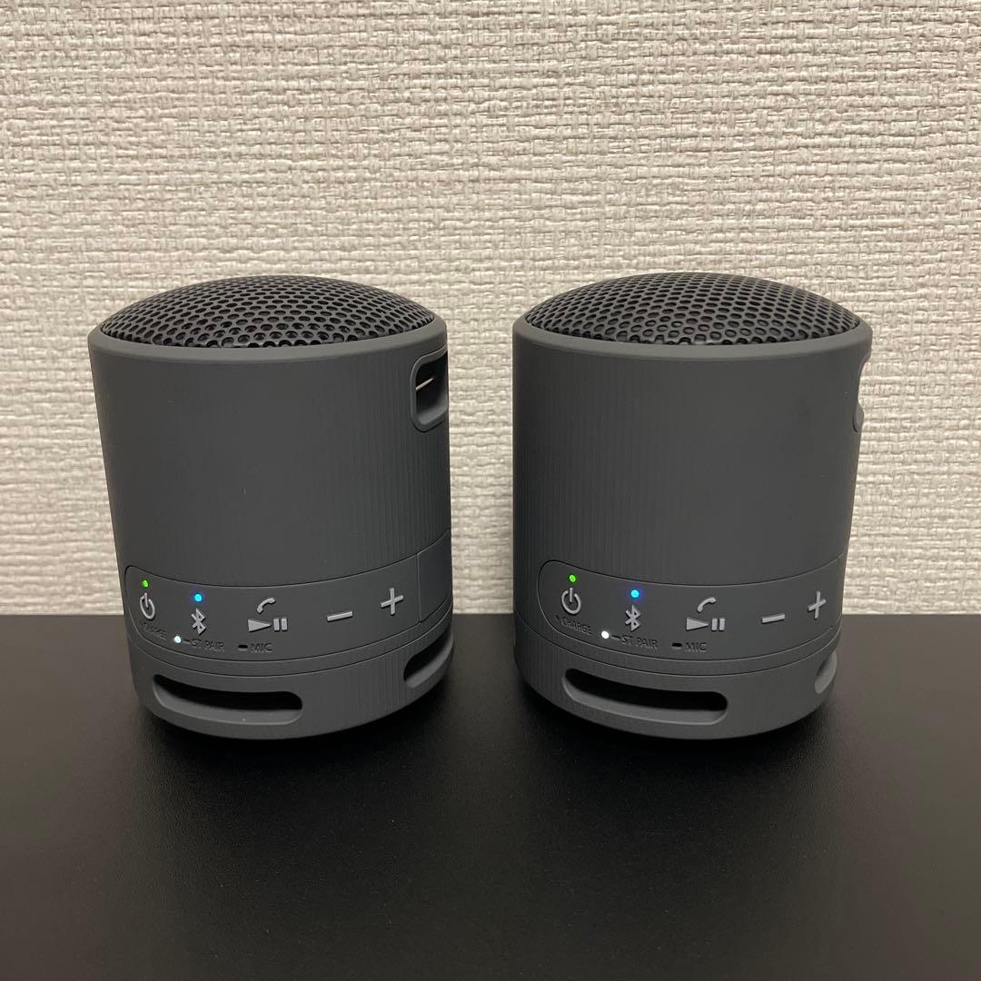 【バラ売り⭕️】SONY SRS-XB100 2台セット