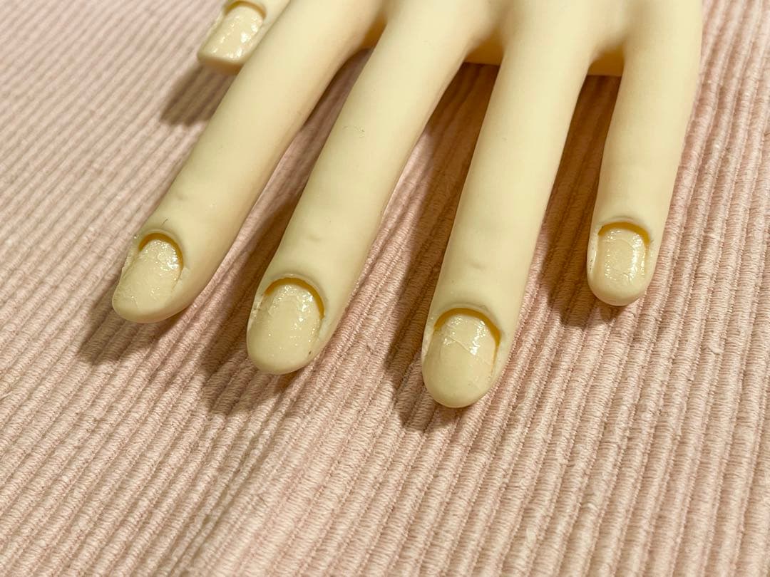 【練習用】JNEC認定モデルハンド ST モデルハンド　両手