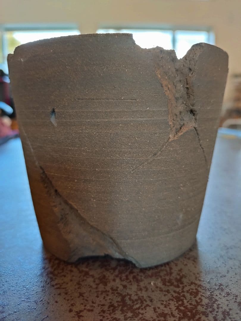 earnest hearts plants アーネストハーツプランツ