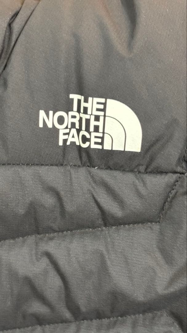 ザノースフェイス サンダーフーディ