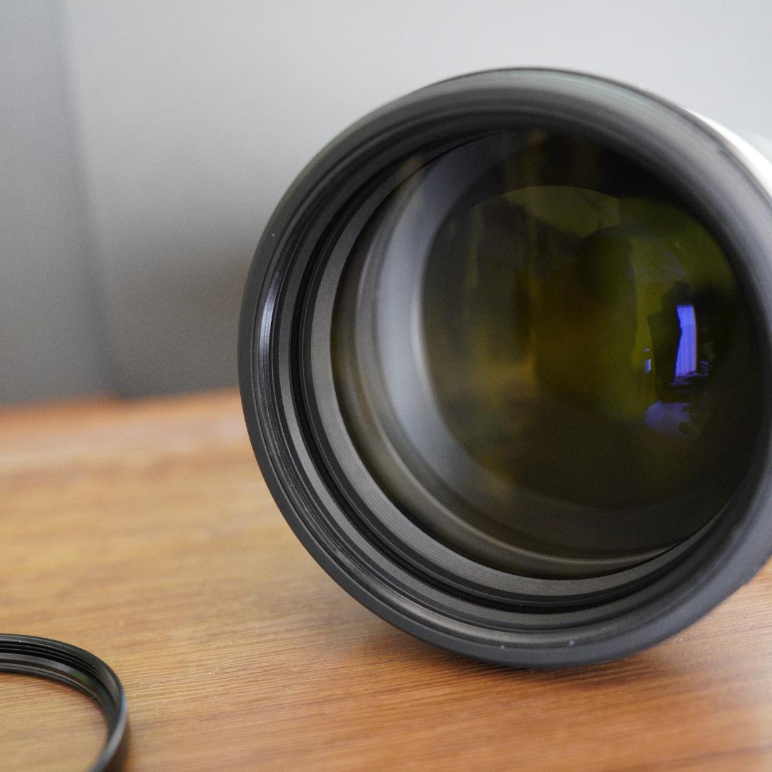 レンズ(ズーム) SONY SEL200600G