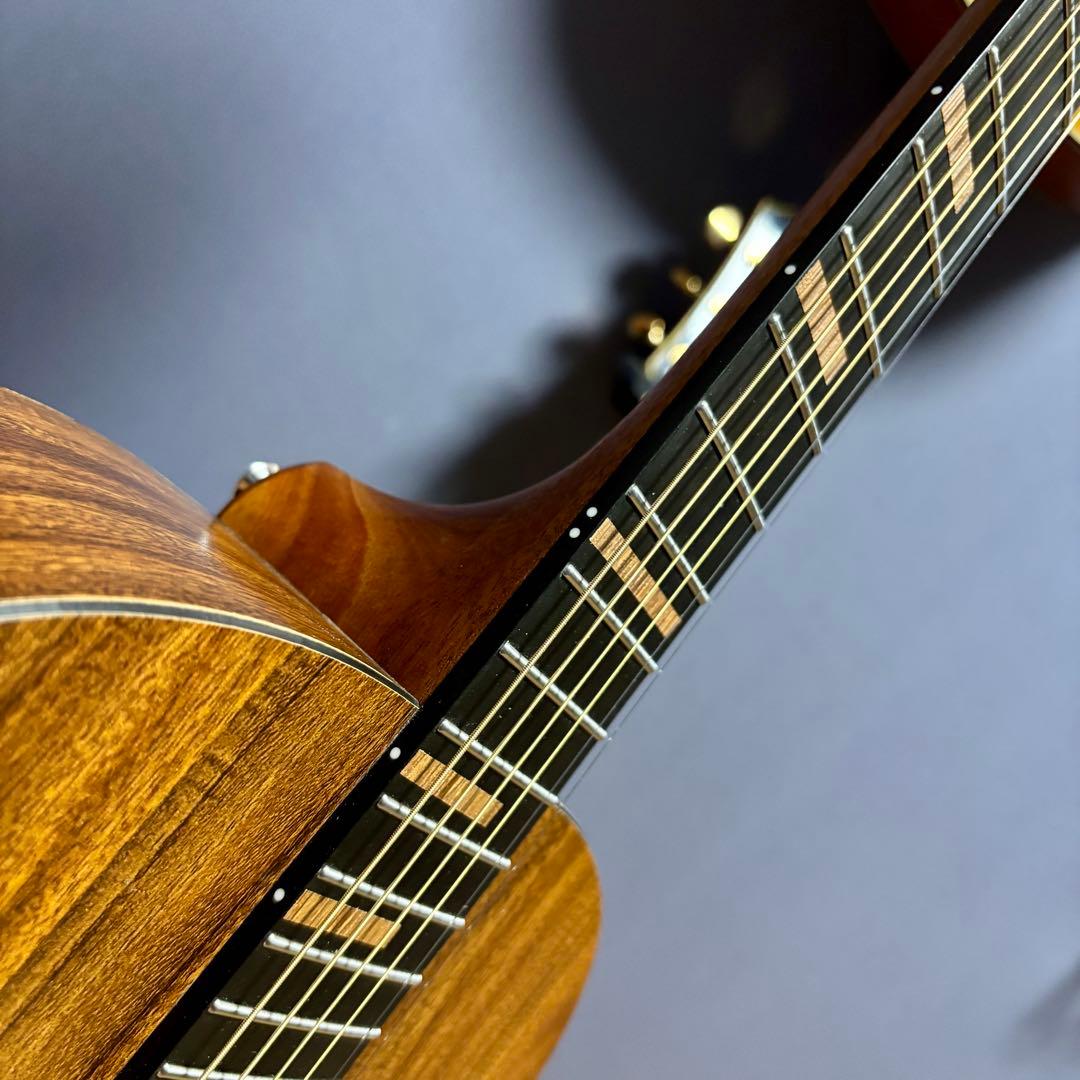 【美品】James トランスギターJ-100A MHT ギグケース付属