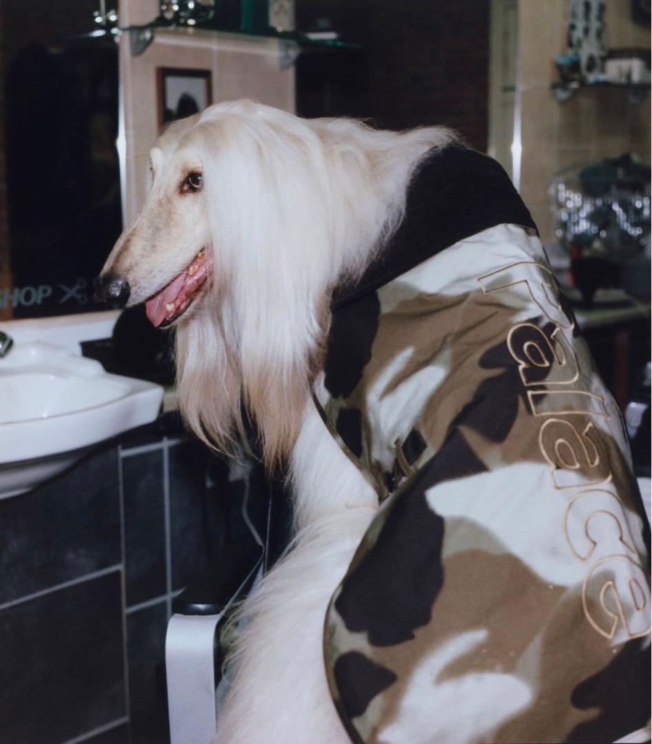 パレスバブアーPALACE BARBOUR WAX DOG COAT CAMO