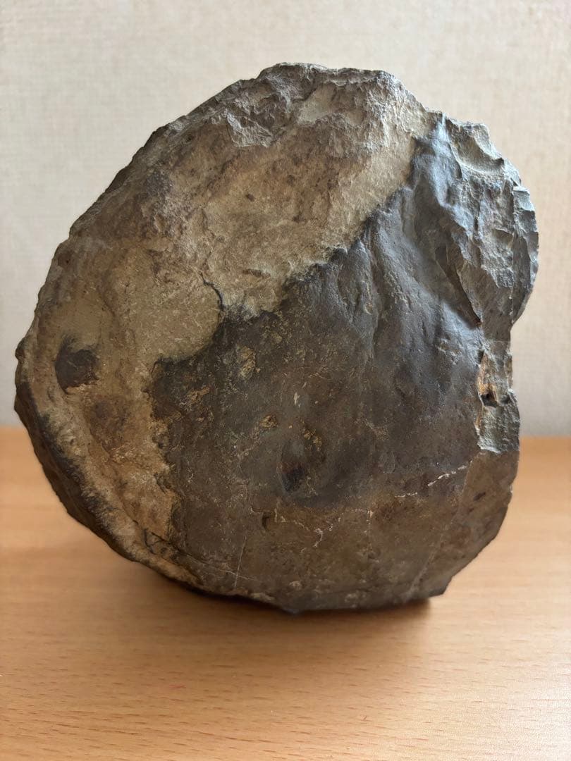 北海道産　アンモナイト　2500g置き物