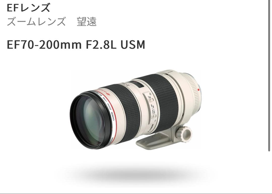 【Canon】EF70-200mm F2.8L USM 望遠 ズームレンズ