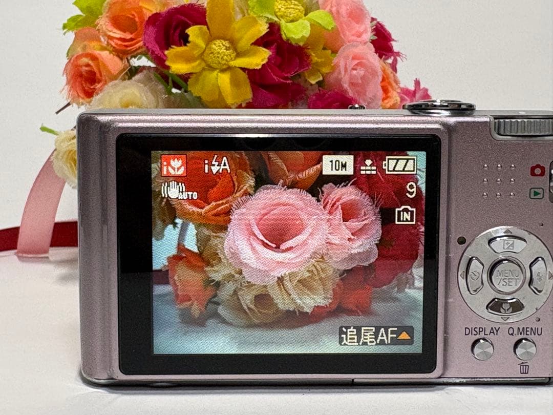 Panasonic LUMIX DMC-FX37 コンパクトカメラ コンデジ