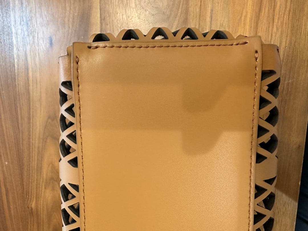 値下げ★【ATNITA BILARDI】アニタビラルディレザー　メッシュバッグ