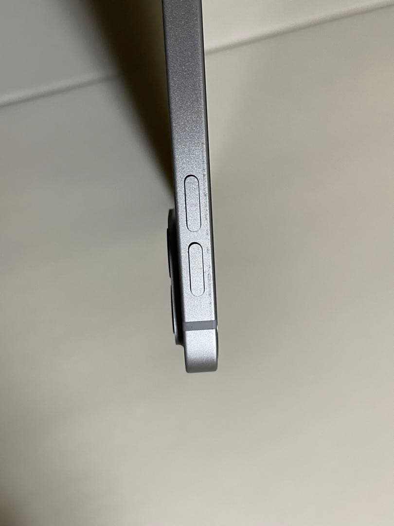 Apple iPad Pro 12.9インチ256GB 第5世代 SIMフリー