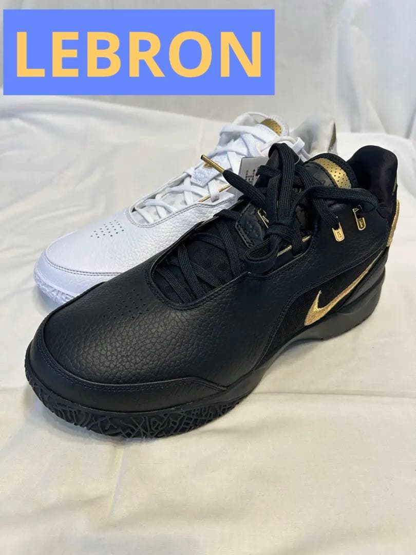 シューズ(男性用) NIKE LEBRON NXXT GEN AMPD EP