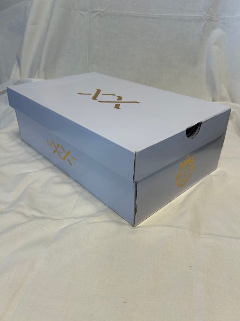 シューズ(男性用) NIKE LEBRON NXXT GEN AMPD EP