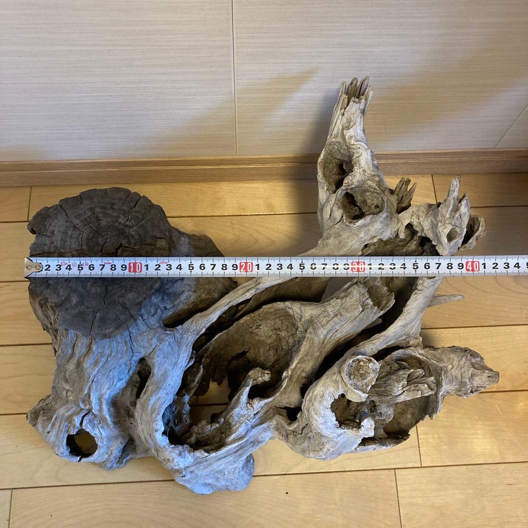 花台　木製花台　流木　古木　盆栽台　生花　天然木　多肉植物　寄植え　切り株　置物