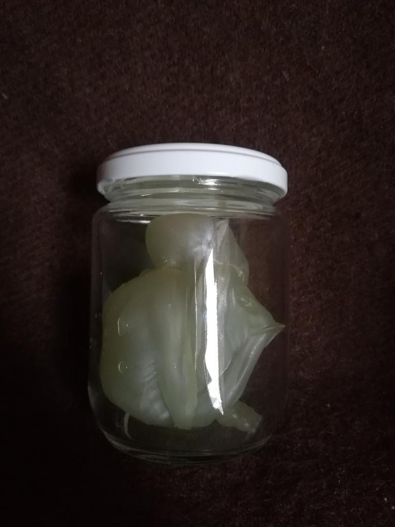 FEWTURE MODELS JAR OF PUS（スケルトン） PUSHEAD
