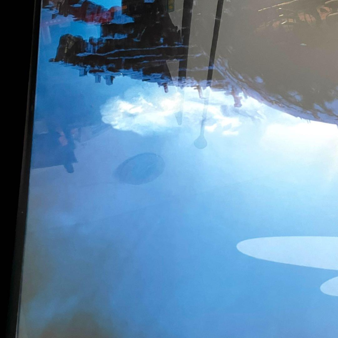 【希少/美品】天空の城ラピュタ フランス語 ポスター 大判　ポスター フレーム入