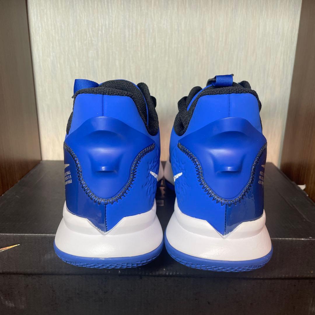 ☆希少カラー☆LEBRON WITNESS V