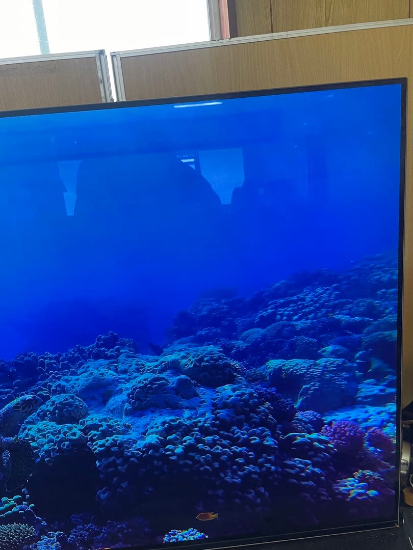 SONY BRAVIA KJ-55A8F 55V型 4K 有機EL TV ソニー