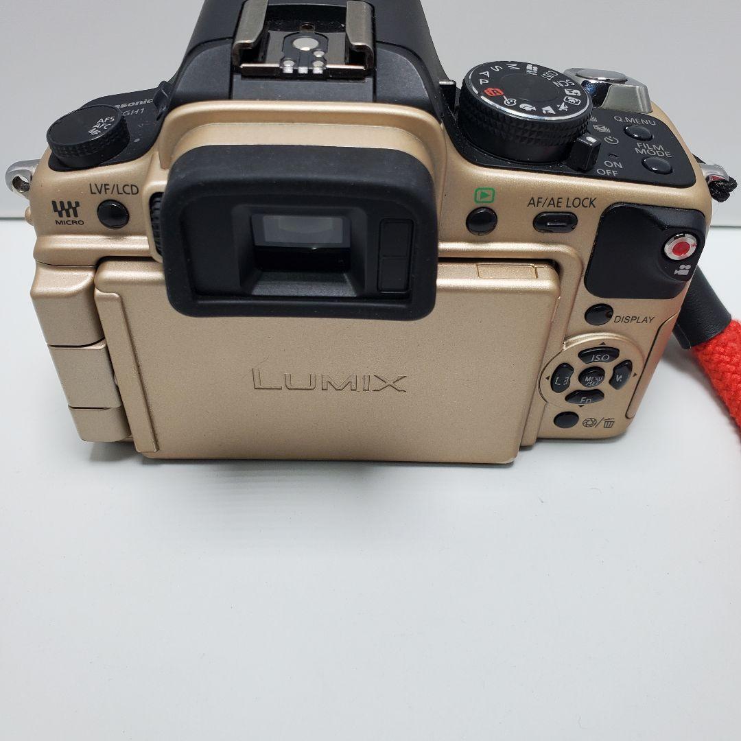 パナソニック　LUMIX　GH1　カメラ まとめ売り