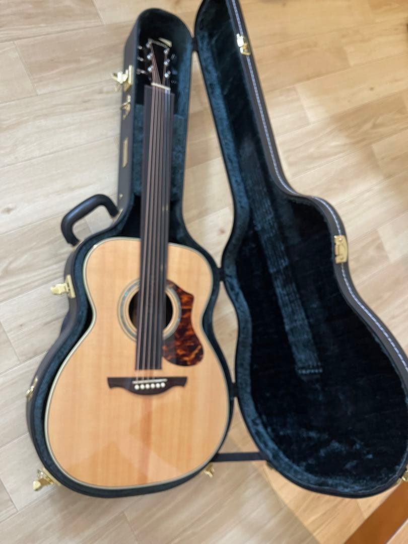 【美品】NTS3 アコースティックギター　ハードケース付き