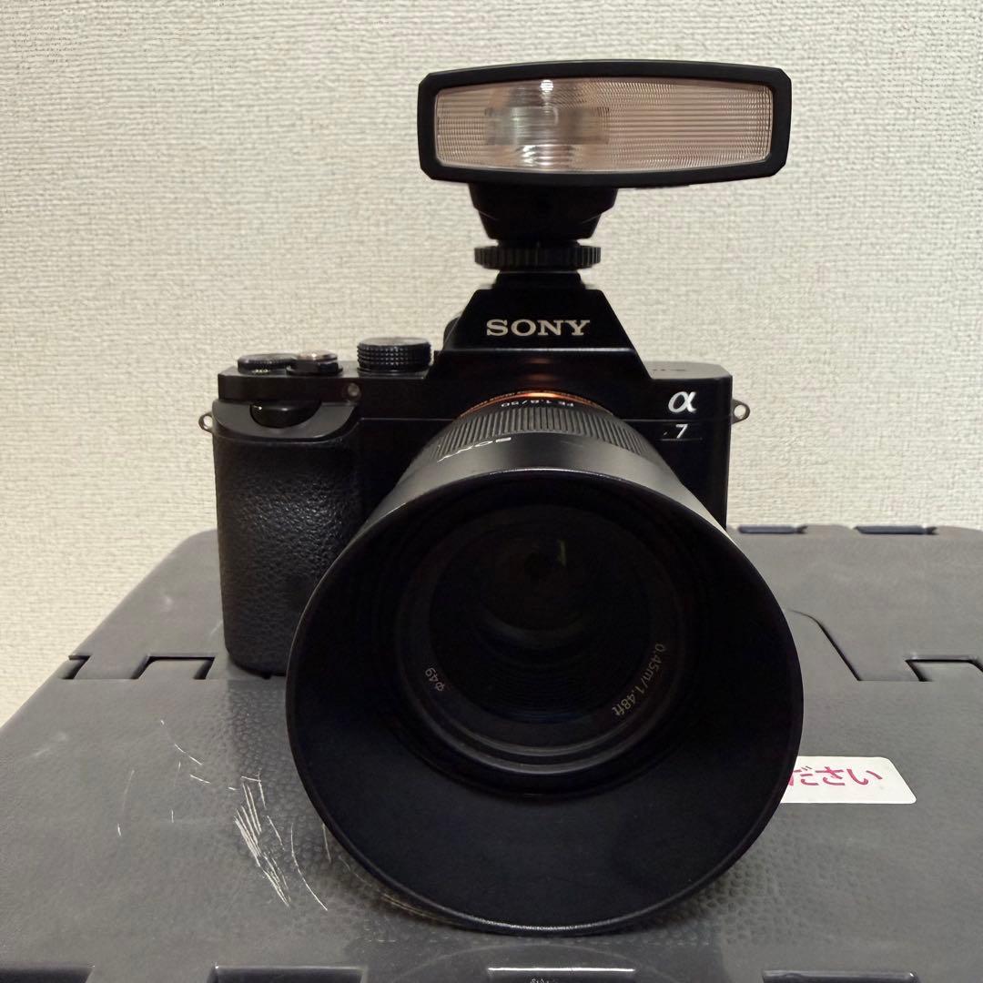 SONY α7＋FE 50mm F1.8+Godox Lux Junior