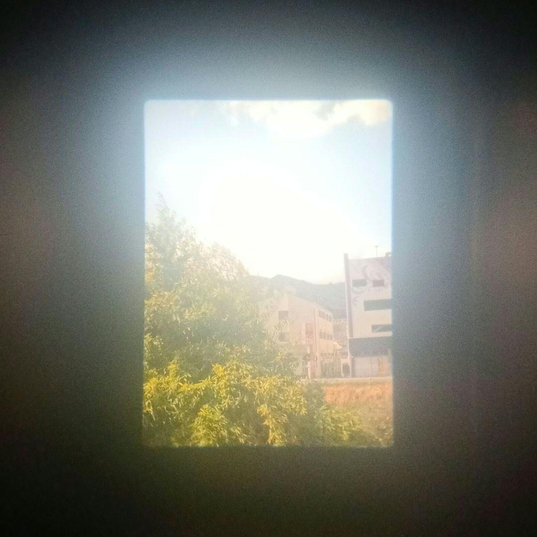 フィルムカメラ【整備、完動品】キャノン　デミ