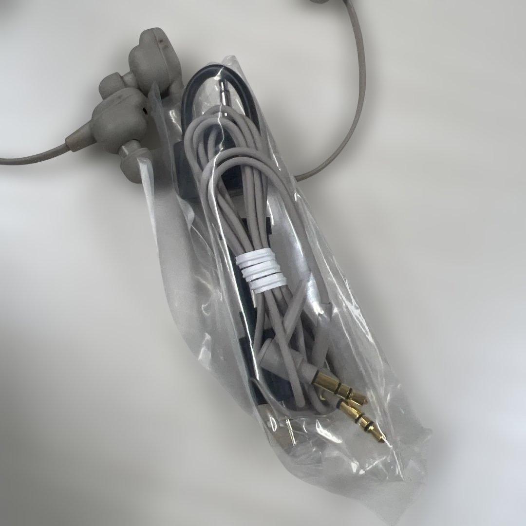 SONY WI-1000XM2 ワイヤレスイヤホン