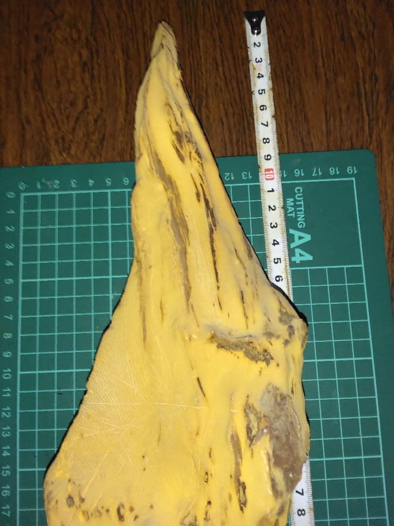 珪化木？産地不明　内部鉱物化　鉱物標本　不思議な石　オパール化？